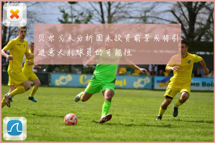 贝尔戈米分析国米投资前景或将引进意大利球员的可能性